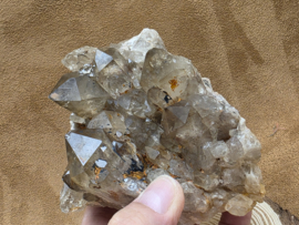 Kundalini citrien cluster uit Congo
