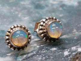 Ethiopisch of welo opaal oorbellen in zilver