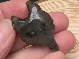 Labradoriet wolf hanger doorboord