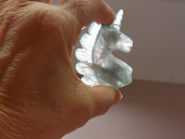 Fluoriet eenhoorn