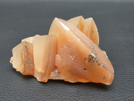 Mariposa calciet uit Mexico