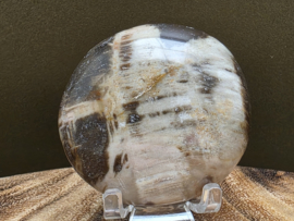Versteend hout handsteen