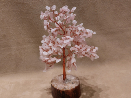 Rozenkwarts edelsteenboom
