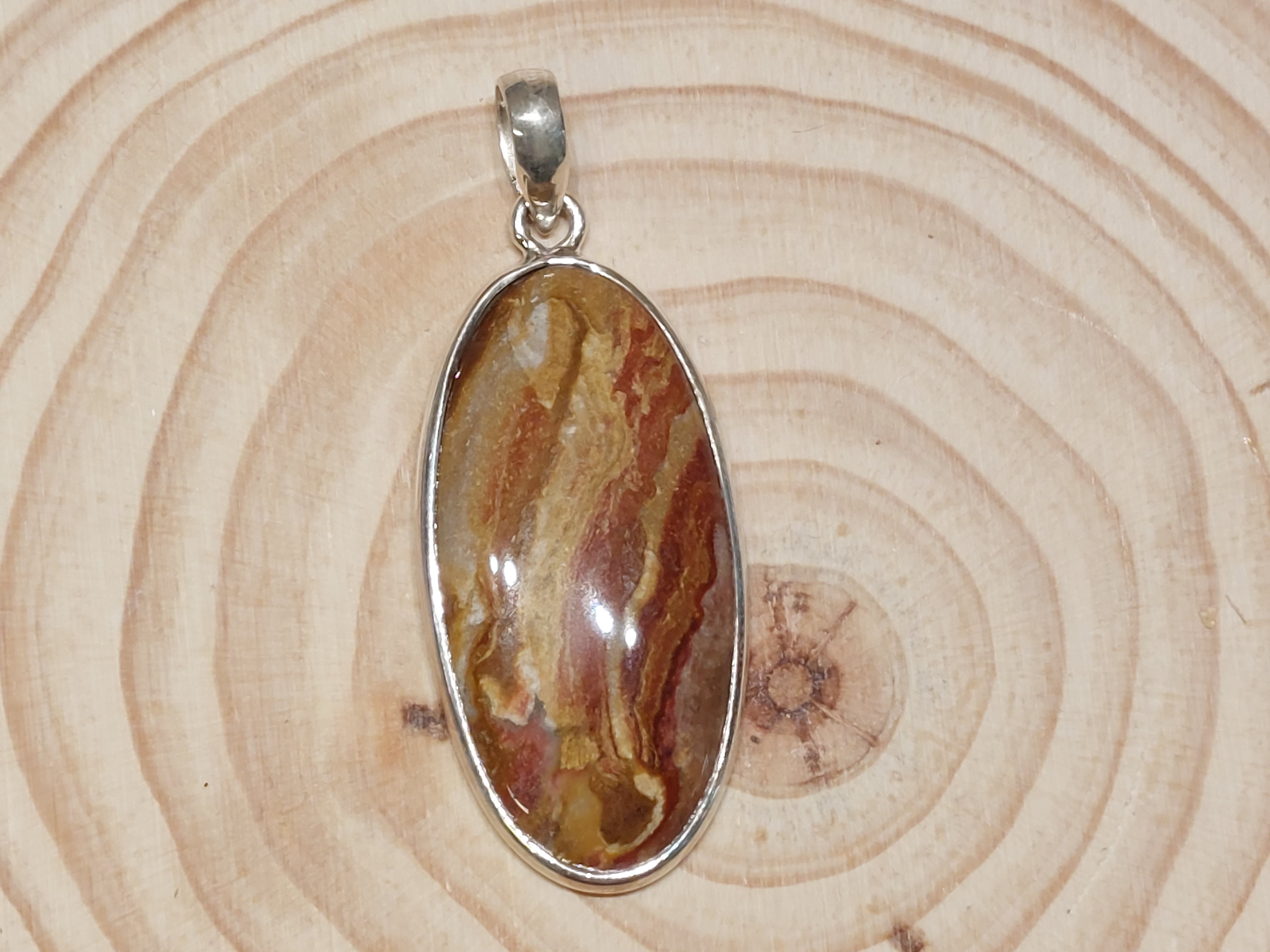 Versteend hout hanger in zilver