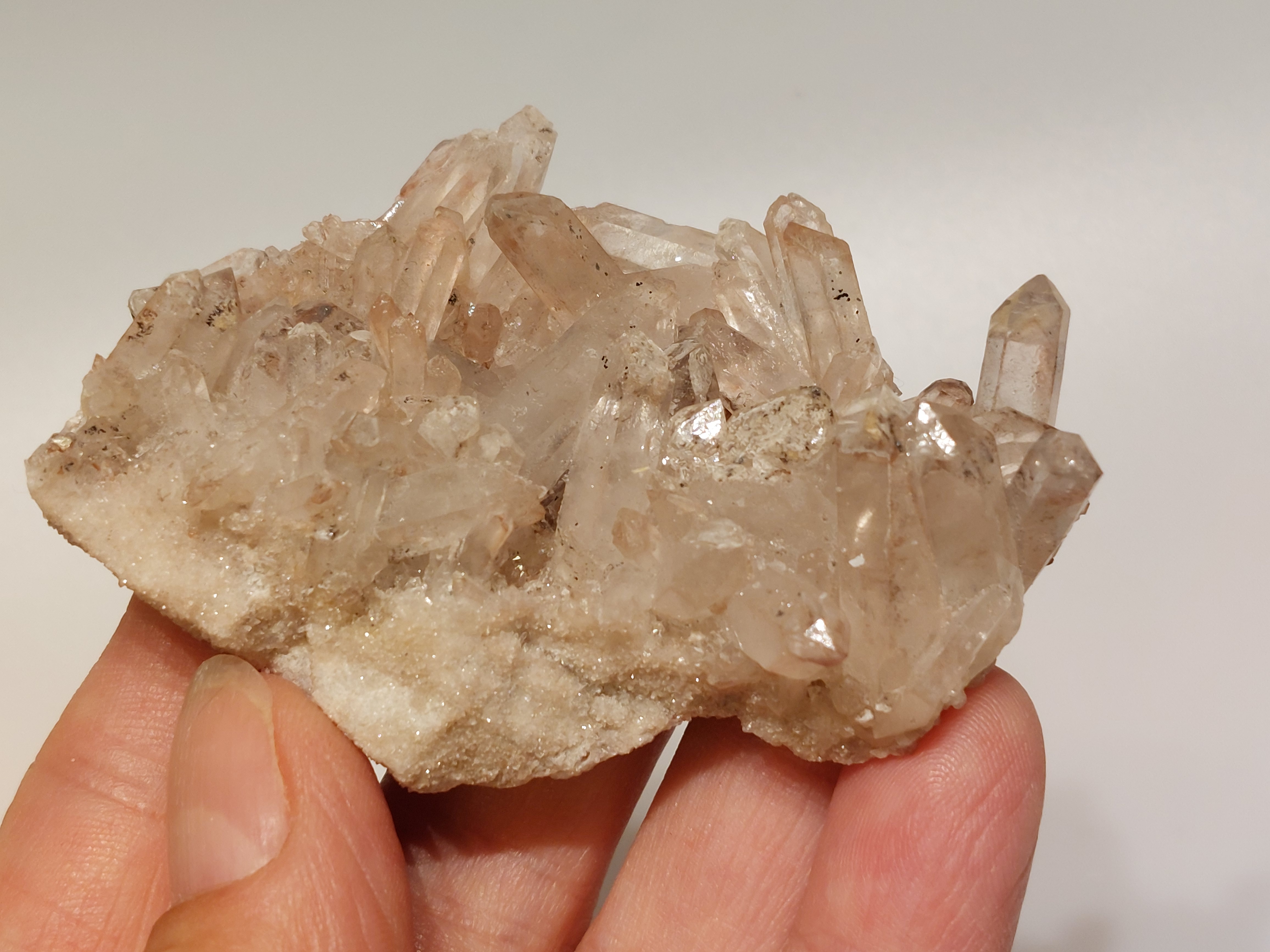 Maria magdalena cluster