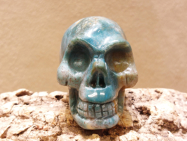 Oceaan jaspis human skull