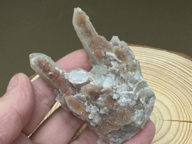 Feeënkwarts of heksenvinger uit Afrika