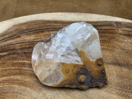 Mariposa calciet uit Mexico