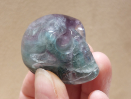 Fluoriet human skull