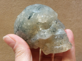 Prehniet human skull