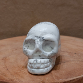 Howliet human skull