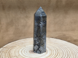 Nipomo agaat of marcasiet met agaat punt