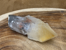 Mariposa calciet uit Mexico