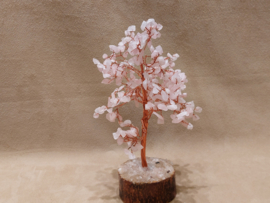 Rozenkwarts edelsteenboom