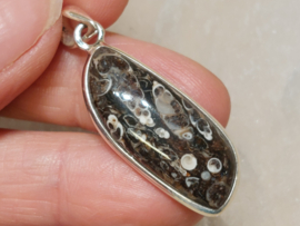 Turitella agaat hanger in zilver