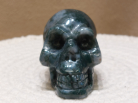 Mosagaat human skull