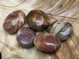 Versteend hout handsteen/knuffelsteen