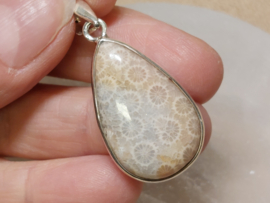 Fossiel koraal hanger in zilver