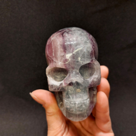 Fluoriet human skull