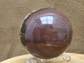 Versteend hout bol