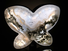 Mosagaat lamp vlindervorm