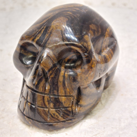 Stromatoliet human skull