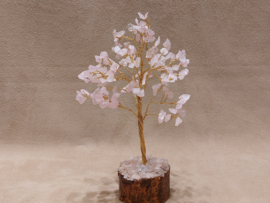 Rozenkwarts edelsteenboom klein