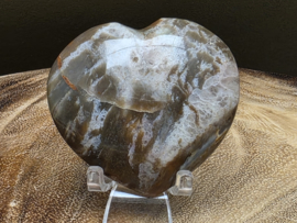 Versteend hout hart