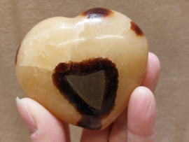 Septarie hart