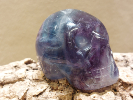 Fluoriet human skull