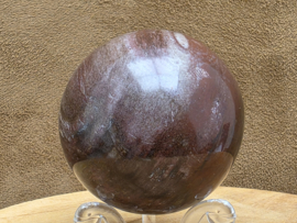 Versteend hout bol