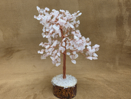 Rozenkwarts edelsteenboom