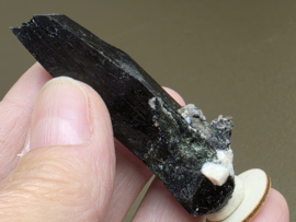 Aegirien cluster Malawi