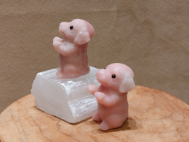 Roze calciet hond