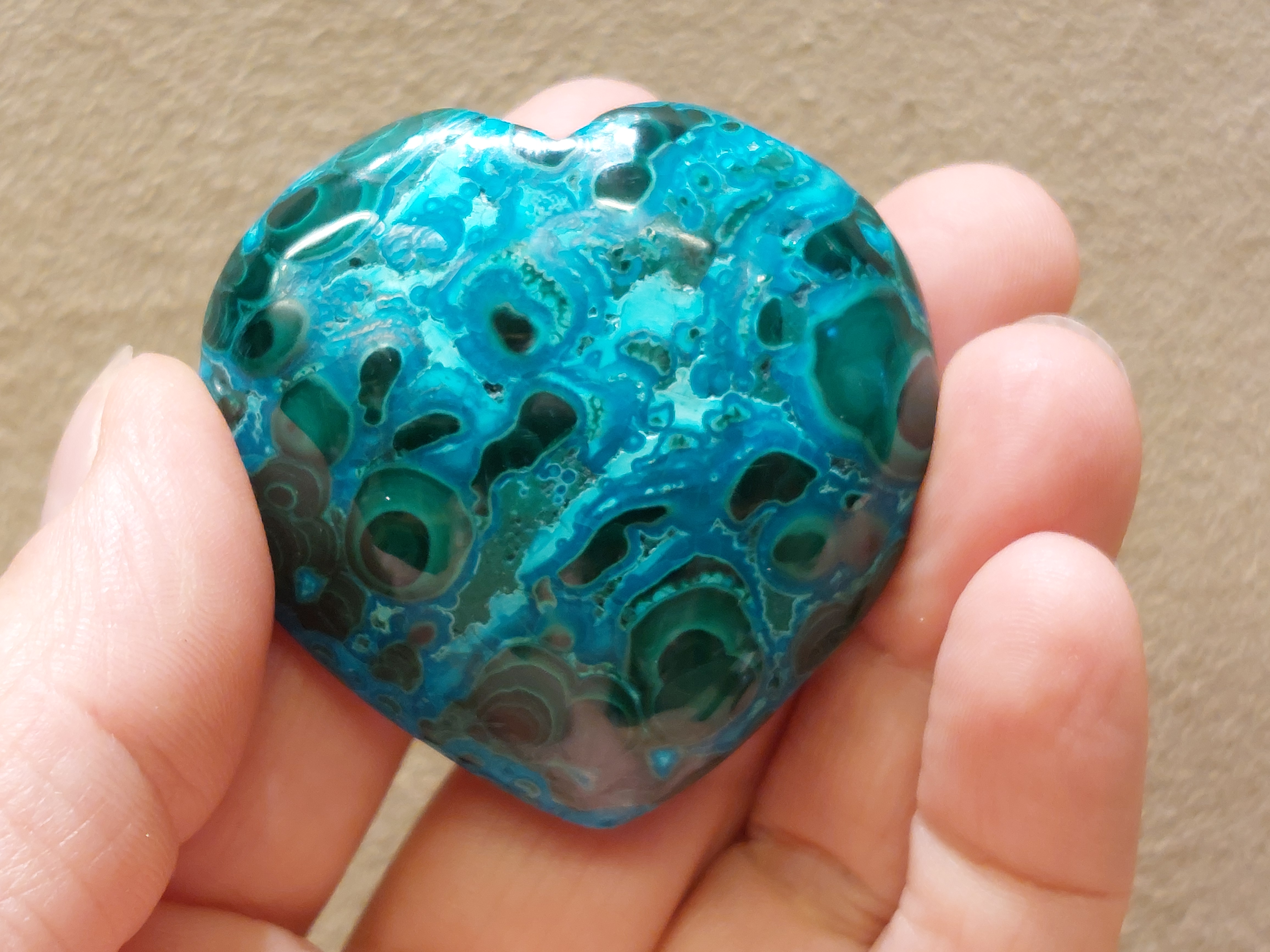 Malacolla hart