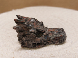 Crinoid fossiel draak