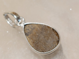 Tijgeroog hanger in zilver