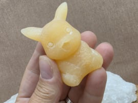 Oranje calciet pikachu