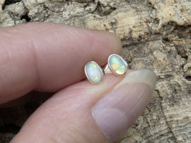 Ethiopisch of welo opaal oorbellen in zilver