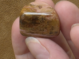 Bustamiet knuffelsteen