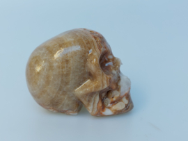 Chocolade calciet/aragoniet human skull