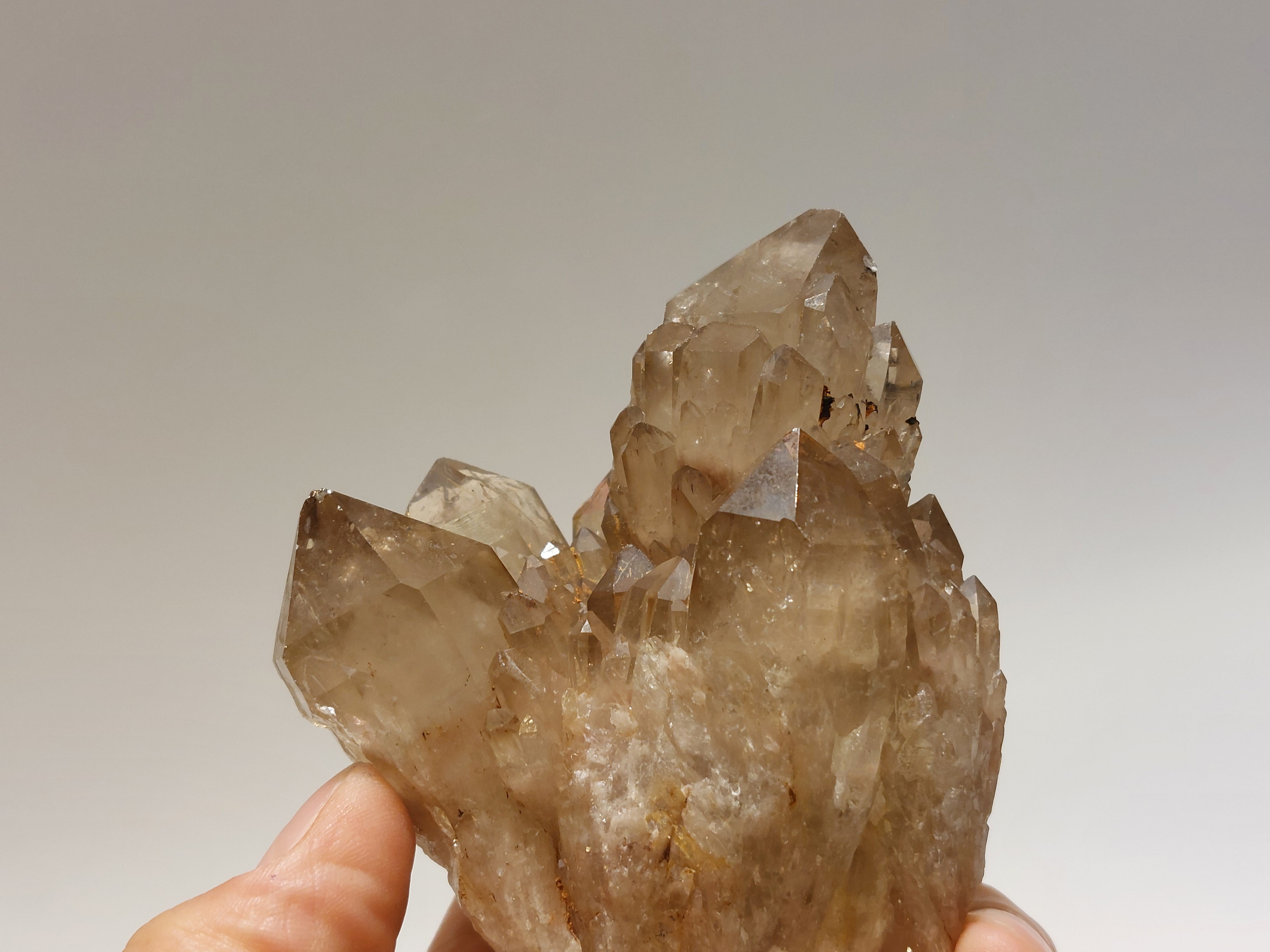 Kundalini citrien cluster uit Congo