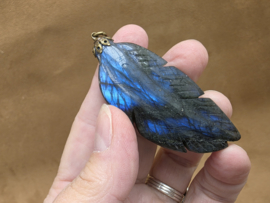 Labradoriet hanger veer