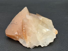Mariposa calciet uit Mexico