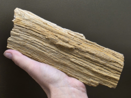 Versteend hout uit Indonesië