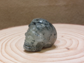 Prehniet human skull
