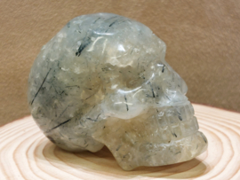 Prehniet human skull