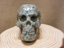 Kiwi jaspis human skull