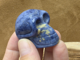 Sodaliet human skull