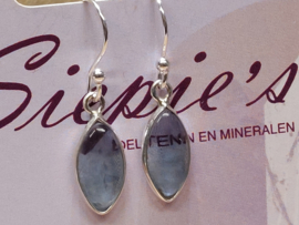 Fluoriet oorbellen in zilver
